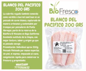 Blanco Salvaje Del Pacífico 200 GRS