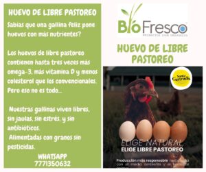 Huevo Libre Pastoreo DOCENA