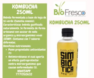 Kombucha 250ml