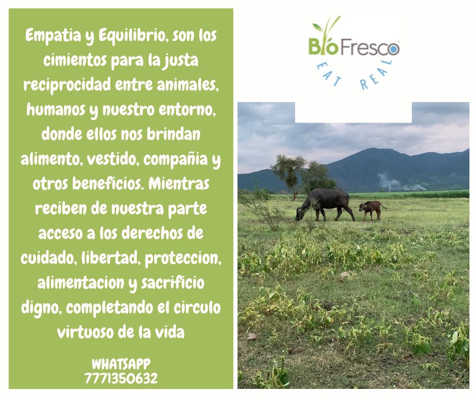 Producto orgánico BioFresco